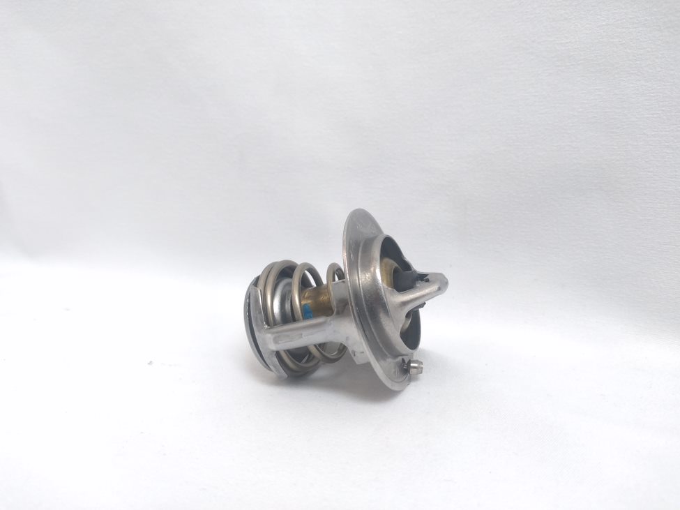 2550002500_THERMOSTAT ASSY, TERMOSTATO TEMPERATURA